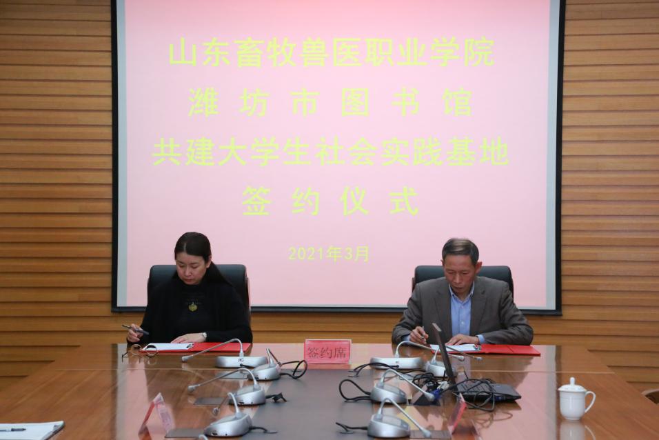 说明: DR9A0436